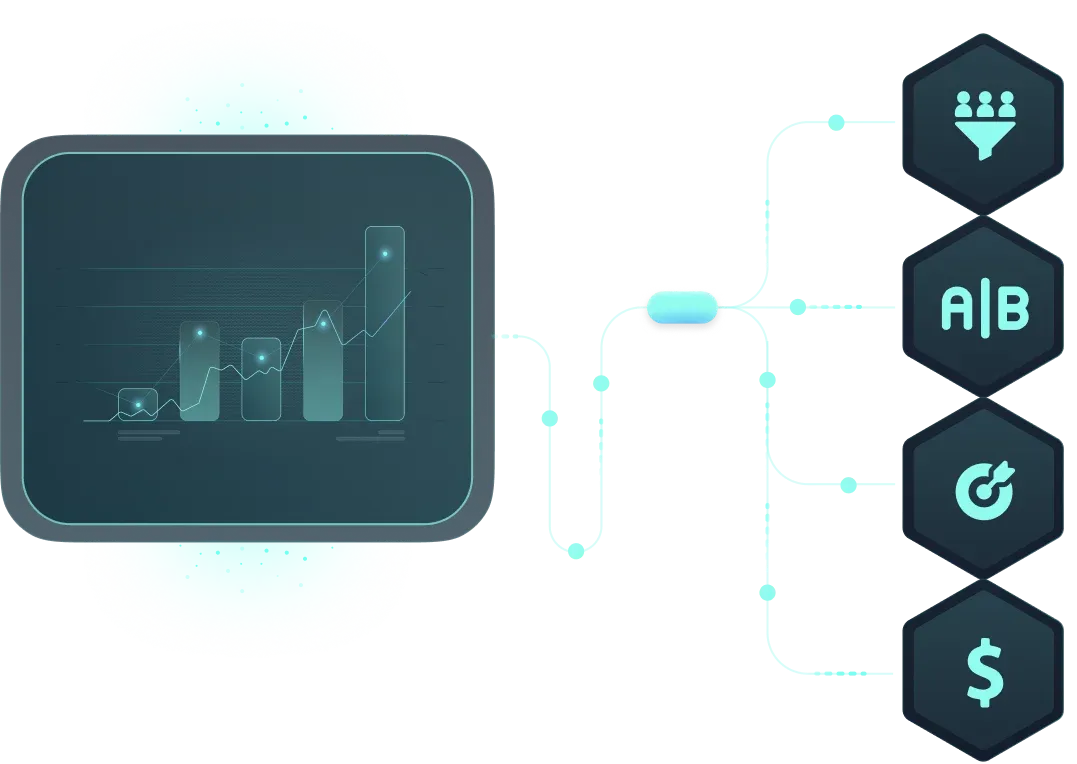 Overview Startups
